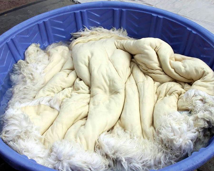 Как постирать и высушить овечью шкуру